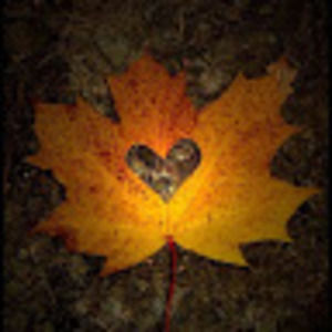 Meet your Posher, Leidy